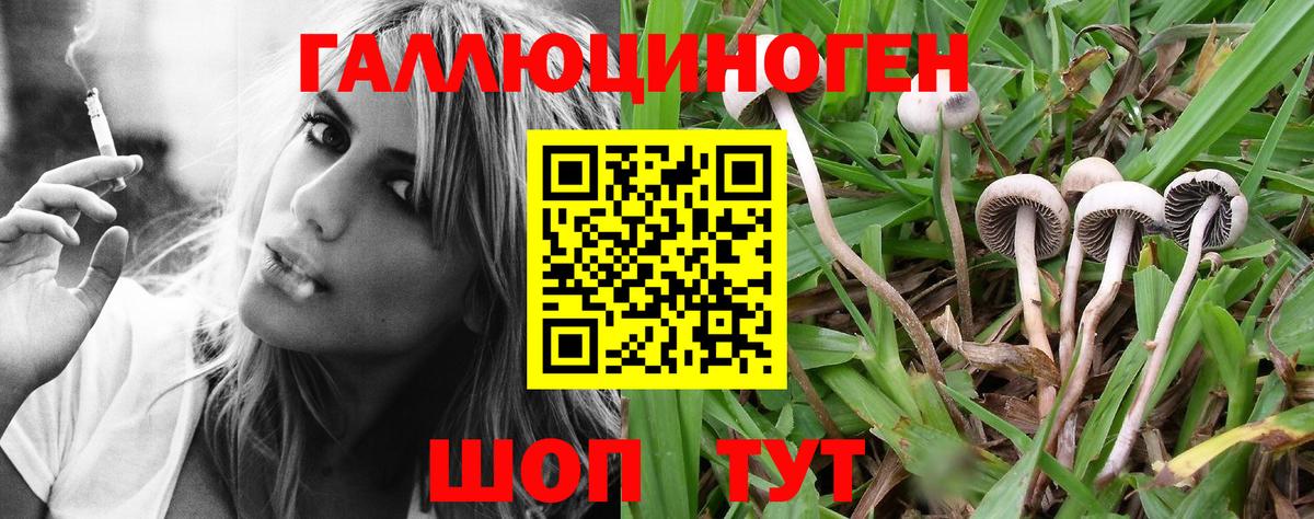 Алексеевка  Галлюциногенные грибы ЛСД  Вход с VPN 